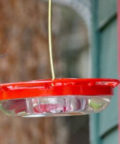 Aspects 367 Hummzinger Ultra Hummingbird Feeder, 12-Ounce,4 Feeding,Red 20 61c5G3S CaL