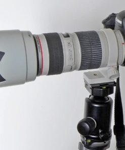 JJC Professional LH74T White Tulip Flower Lens Hood Compatible with Canon 70-200mm F 4 Lens Replaces Canon ET-74 ET74 37 61c6Tm8AMvL