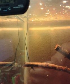 ZACRO 2 Pack Digital Aquarium Thermometer, Fish Tank Thermometer, Water Thermometer with Large LCD Display,Reptile Thermometer for Fish Tank Water Terrarium 36 61cAaOBhOUL