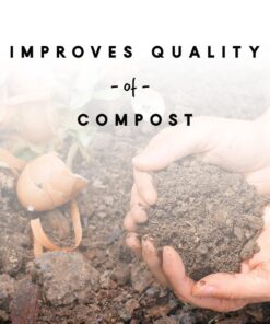 Manna Pro Coop 'N Compost | Chicken Coop, Manna Pro Chicken Supplies | 28 Ounces 13 61cCYdB9EL