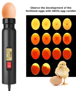 HBlife Bright Cool LED Light Egg Candler Tester for Watching Eggs Development, with 2 Soft Rubber Attachments for Eggs, Powered by Power Cord Only 17 61cCaoaPB1L