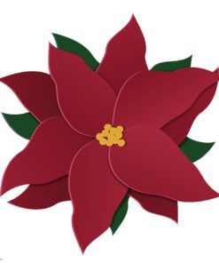 Cricut 3D Floral Home Decor Cartridge 28 61cF8MIXB2L