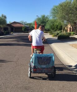 Instep Bike Trailer for Toddlers, Kids, Single and Double Seat, 2-In-1 Canopy Carrier, Multiple Colors Light Blue 35 61cLDrEKIWL