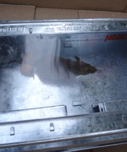 JT Eaton 421CL Repeater Multiple Catch Mouse Trap with Clear Inspection Window 22 61cMzOK6bhL