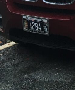 BMW License Plate Frame with BMW Wording (Silver) Silver 9 61cQP2M83pL