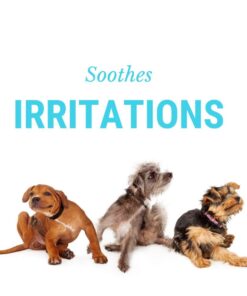 DogFresh Moisturizing Oatmeal & Baking Soda Spray, Dog Itching Skin Relief, Natural Cleansing & Deodorizing Spray, Dog Leave in Conditioner for Dry Itchy Skin, Suitable for Puppies (17oz) 19 61cbqV6a6xL