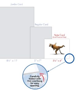 The Best Card Company - 10 Blank Yoga Note Cards (4x 5.12 Inch) - Boxed Notecards with Envelopes, Cute Animal Cards, Zen Assortment - Zoo Yoga M6547OCB 13 61ccVfcDqL