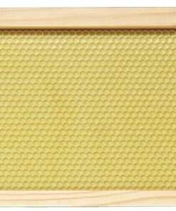 Mann Lake 10-pack Medium Assembled Wood Frames with Yellow Beeswax Coated Plastic Rite-Cell Foundation. 6-1/4 Inch 3 61cg6DNO9gL