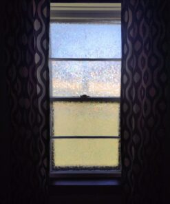 Ettore, 12 17012 All-Purpose Squeegee, Inch, Blue 12 In 15 61ciC4x2LzL