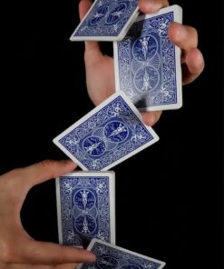 Bicycle Standard Rider Back Playing Cards, 2 Decks of Playing Cards, Red and Blue 17 61ck3FXlmwL