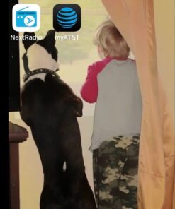 Supershieldz (2 Pack) Designed for iPhone 11 Pro, iPhone Xs and iPhone X (5.8 inch) Tempered Glass Screen Protector with (Easy Installation Tray), Anti Scratch, Bubble Free 27 61coZPmQaL