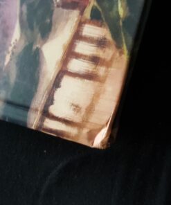 The Legend of Zelda: Breath of the Wild: The Complete Official Guide Collector's Edition Hardcover 67 61cwSWfiWlL