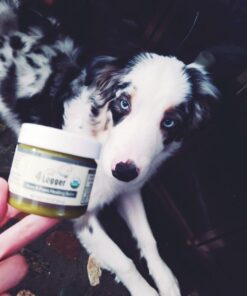 4Legger Certified Organic Nose & Paw Pad Healing Balm Unscented for Dry Chapped and Cracked Paw Pads, Elbows, Snout, Dry Skin with Hemp Oil, Vegan Wax, Calendula & Shea Butter - Made in USA - 1.9 oz 34 61czME9v aL 1