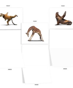 The Best Card Company - 10 Blank Yoga Note Cards (4x 5.12 Inch) - Boxed Notecards with Envelopes, Cute Animal Cards, Zen Assortment - Zoo Yoga M6547OCB 9 61czv4m33 L