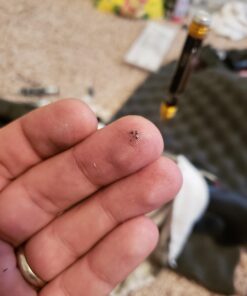 Alternative view of IRWIN Bottoming Tap, #6-48NS (1221)