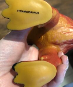 Boley 5 Piece Jumbo Dinosaur Set - Kids, Children, Toddlers Highly Detailed, Realistic Toy Set for Dinosaur Lovers - Perfect for Party Favors, Birthday Gifts, and More 5 Dino Set 44 61dDL ljyWL