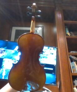 SKY 4/4 Full Size SKYVN201 Solid Maple Wood Violin with High Quality Lightweight Case, Brazilwood Bow, String, Rosin and Mute 46 61dLXkYEBYL