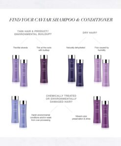 Alterna Caviar Anti-Aging Replenishing Moisture Hair Care Shampoo & Conditioner Set 1.03 Pound (Pack of 2) 19 61dQon23YL