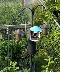 NETVUE Birdfy AI - Smart Bird Feeder with Camera, Free AI Forever, Auto Capture & Identify 6000+ Bird Species, Bird Videos for Birdwatching, Ideal Gift for Bird Lover Blue 36 61dSYtxtRuL