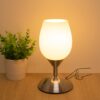 Boncoo Dimmable Touch Control Table Lamp, Small Lamp with Opal Glass Lampshade Ambient Light Bedside Little Lamp Silver Base Modern Accent Lamp for Bedroom, Living Room, E12 Bulb Included 41 61dWVLczA L