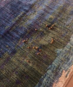 Rachael Ray Nutrish Dish Premium Dry Dog Food, Chicken & Brown Rice Recipe with Veggies & Fruit, 23 Pound Bag 23 Pound (Pack of 1) 32 61dWhNIfn2L