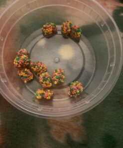 Nerds Gummy Clusters Candy, Rainbow, Resealable 8 Ounce Bag. 34 61dWkYO7AwL