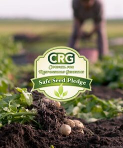 Survival Essentials Ultimate Heirloom Seed Vault, 144 Variety Packed in Superior Ammo Can, Over 23k Garden Seeds for Planting Vegetables and Fruits, for Survival and Emergency Supply, Non-GMO 22 61dbldAFA4L