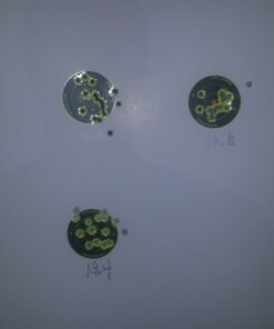 BIRCHWOOD CASEY Shoot-N-C 3" Bull's-Eye Reactive Targets - Highly Visible Instant Feedback Self-Adhesive Shooting Target Stickers with Repair Pasters 240 Targets, 600 Pasters Multi 7 61ddCpBPTGL