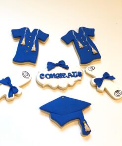 Graduation Gown Cookie Cutter, 4" Made in USA by Ann Clark 34 61deu2xmEUL