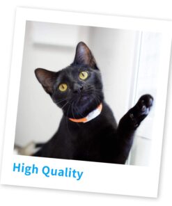 Compatible Toner Printer Cartridge Replacement for Brother TN450 TN-450 TN420 TN-420 (2 Black) for HL-2270DW HL-2280DW HL-2230 HL2240 MFC-7360N MFC-7860DW DCP-7065DN IntelliFax 2840 24 61dk1PRLqL