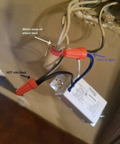 Honeywell Home RPLS730B1000 7-Day Programmable Light Switch Timer, White Filter 54 61doVTMpCoL