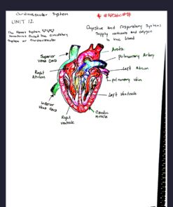 Pilot, FriXion Ball Erasable & Refillable Gel Ink Pens, Fine Point 0.7 mm, Pack of 8, Assorted Colors 8 Count (Pack of 1) 26 61dsFI4etlL 3