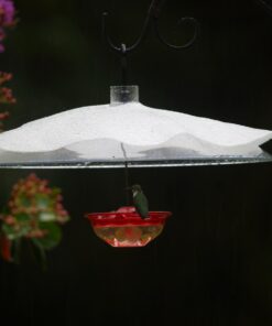 Perky-Pet 340 Transparent 16-Inch Squirrel Baffler 32 61dt 1z9DML