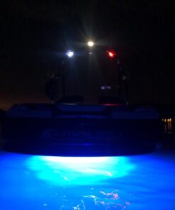 Jiawill 316L Stainless Steel Underwater 1/2" NPT 9 to 30V 27w Boat Drain Plug Light with Internal Driver and Overheat Protection 3 Years Warranty (Blue) Blue 48 61dwmER D9L