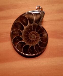 JOYA GIFT Charm Handmade Natural Conch Fossil Ammonite By Silver Wrapped Pendant Necklace (1 PCE). 38 61dx7AFpIL