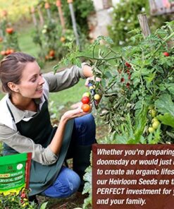 Heirloom Vegetable Seeds Non GMO Survival Seed Kit - Part of Our Legacy and Heritage - 50 Varieties 100% Naturally Grown- Best for Gardeners Who Raise Their Own Healthy Food 1 31 61eGr OrG7L