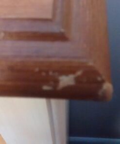 #1 Hardwood Renewer Set of 6 Piece Furniture Repair System Restore Oak Walnut Cherry Scratched Furniture - Touch up & Renew Any Wood Surface 28 61eHI5sk9QL