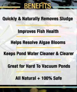 MICROBE-LIFT MLXSAG6 Sludge-Away Pond and Outdoor Water Garden Sludge and Muck Remover, Safe for Live Koi Fish, Plant Life, and Decor, 1 Gallon 18 61eL1Df8WSL 1