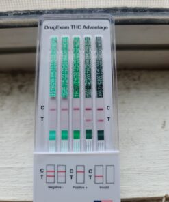 Rescue Detox 5 Day Permanent Detox Kit - 72ct Capsules | Comprehensive Full Body Cleanse with Bonus Instant ICE Caps 37 61eNgt5OfvL