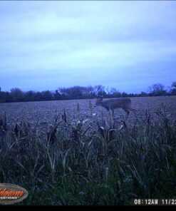 BoneView Protective Storage Case, Pocket Size Weather Resistant Shell and Zipper to Safely Store Your Deer Hunting and Scouting Accessories (Orange) 9 61eO99RJVcL