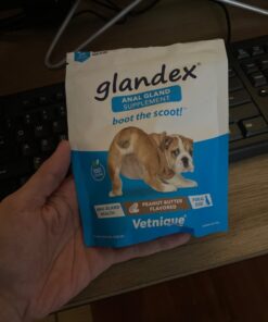 Glandex Anal Gland Soft Chew Treats with Pumpkin for Dogs Digestive Enzymes, Probiotics Fiber Supplement for Dogs Boot The Scoot (Peanut Butter Chews, 30ct) Peanut Butter Chews 34 61eRcQ7NuvL