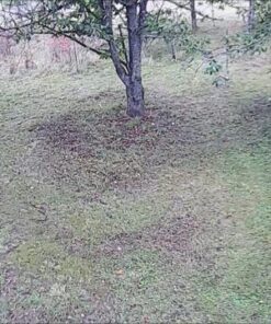 Zmodo Outdoor Security Cameras Wifi - 1080p Full HD Surveillance Cameras for Home Security with Night Vision, IP 66 Weatherproof, Plug-In, Motion Detection, 4 Pack 4 Count (Pack of 4) 58 61eUeZVkUSL