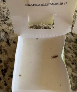 Harris Bed Bug Early Detection Glue Traps (4/Pack) 4 Traps 36 61eYFbvV93L