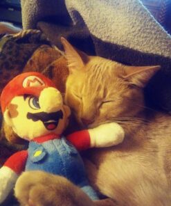 Nintendo Mario and Luigi 2 Plush Doll Set 8.5 inches 31 61ecAN0TPLL