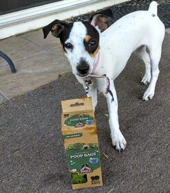 Pogi’s Dog Poop Bags - 10 Rolls (150 Doggie Poop Bags) - Leak-Proof Dog Waste Bags - Scented, Ultra Thick, Extra Large Poop Bags for Dogs 1 Count (Pack of 150) 27 61edt577NYL