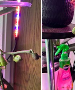 Miracle-Gro Ready-To-Use Orchid Plant Food Mist, 8 oz., Feeds Plants Instantly, 1 Pack 48 61ejuvzYw3L