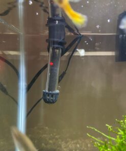 Tetra HT Submersible Aquarium Heater With Electronic Thermostat, 50-Watt, 2-10 Gallon 33 61enpPSKkRL