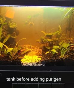 Seachem Indoor Purigen Organic Filtration Resin - Fresh and Saltwater 100 ml 40 61euT8eRibL