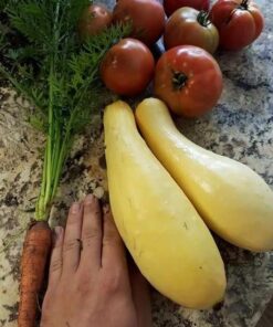 Survival Essentials Garden Heirloom Seed Vault, 100 Variety, Over 17,500 Vegetable, Fruit, and Herbs Seeds, Non-GMO, Non-Hybrid, Plus Free Microgreens Kit 39 61ex9lnNooL