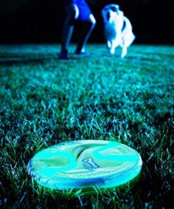 Chuckit Max Glow Paraflight Flying Disc Dog Toy, Large (9.75"), Green And White Green/Max Glow 21 61ezZIf8MwL